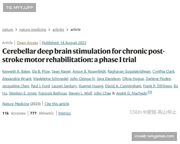 独立报告揭示MMA运动长期脑健康追踪系统仍存漏洞